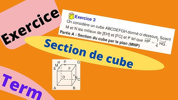 Exercice corrigé : section d