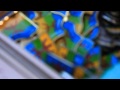 Tamagit Identity A Documentary Film Tamazight 2962 2012 вґ вµ вґ вµ вµ вµЏ вµњвґ вµЋвґ вґівµ вµњ вµўвµњвµ вµ вµЎвґ вµЌ вµ вµњвґ вµЋвґ вµЈвµ вµ вµњ Tamagit Identity A Documentary Film Tamazight 2962 2012 вґ вµ вґ вµ вµ вµЏ вµњвґ вµЋвґ вґівµ вµњ вµўвµњвµ вµ вµЎвґ вµЌ вµ вµњвґ вµЋвґ вµЈвµ вµ вµњ