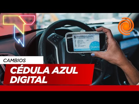 Fin de la cédula azul: el Gobierno detalló el nuevo trámite 100% online que la reemplazará