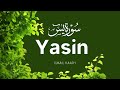 Surah YASEEN | Yasin