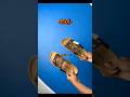 Loot Deal Men Sandal | #sandals #deals #fashion #lootoffer #style #offer #telugu #viral #shorts