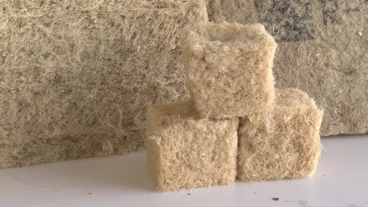 Hempitecture makes insulation out of industrial hemp - YouTube