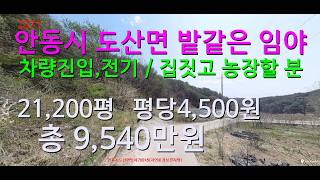 [No. 2271] Forest land resembling a field in Dosan-myeon, Andong-si