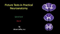 Human Anatomy Education - YouTube