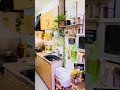 දවස අවසානයේ kitchen එක අස් කරලා දකිනකොට හිතට දැනෙන නිදහස සල්ලි දීලාවත් ගන්න බෑ😌#yamayashashini