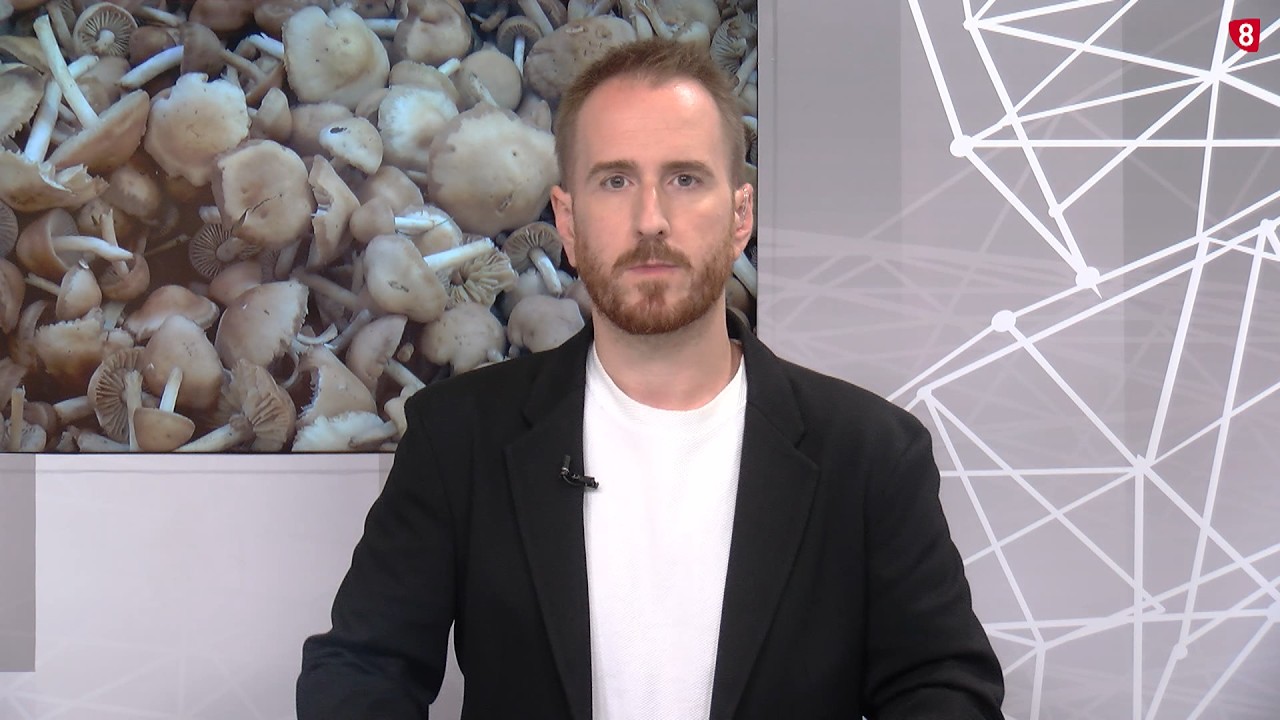 Noticias 14:00. Lunes, 28 de septiembre de 2026. La 8 Soria