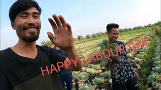 Happy Labour day but Labour become poor