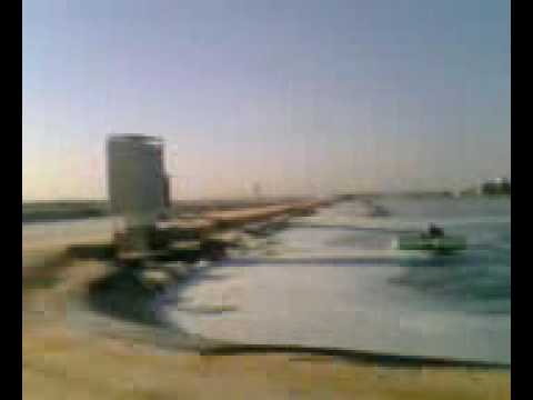 ورقلة اخبار زيارة سلال3