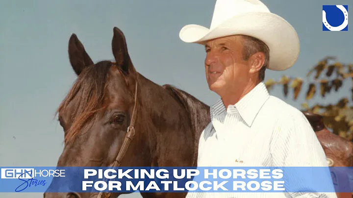 GHN Horse Stories - Picking up horses for Matlock ...