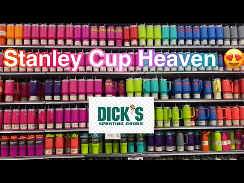 💕NEW STANLEY CUPS💕