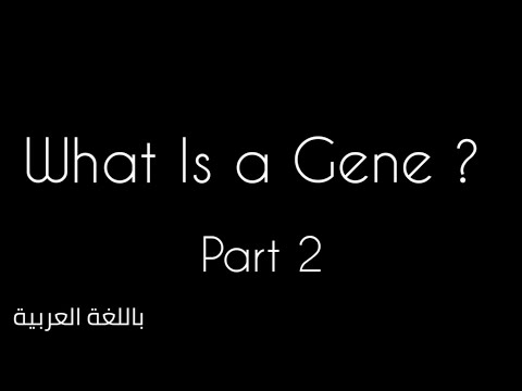 كروموسوم.Chromosome