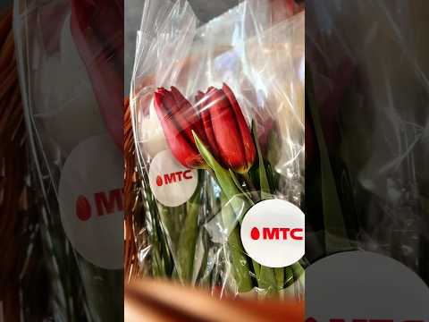 Как мы поздравили клиенток МТС с 8 Марта? Показываем! #мтс #мтсбеларусь #8марта
