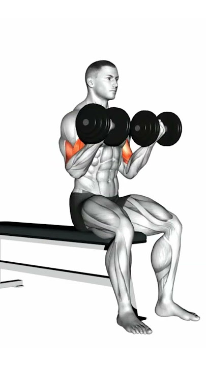 KURZHANTEL ÜBUNGEN FÜR JEDEN MUSKEL #muskelaufbau #trainingsplan #muskelaufbautipps
