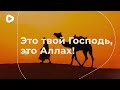 Ты поднимешь руки, скажешь "О Аллах!" | Аллах Великий | Аллах щедрый