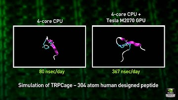 Amber Side by Side GPU\CPU comparison