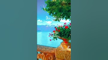 أوائل سورة الكهف للقارئ ماهر المعيقلي #اكسبلور #دويتو #الرحمن #تيك_توك #العظماء #لايك #حالات_واتس