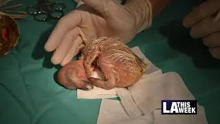 Famous Things To Do #1130 Wealth