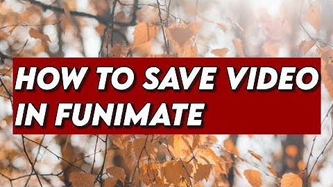 How to save video in Funimate 🌠