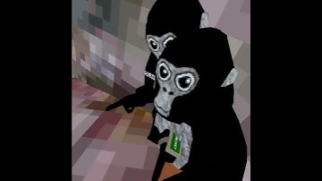 How to fly in gorilla tag