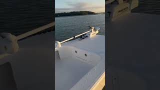 IMG 0210