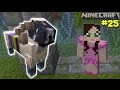 Minecraft: COLORFUL RAM CHALLENGE [EPS7] [25]