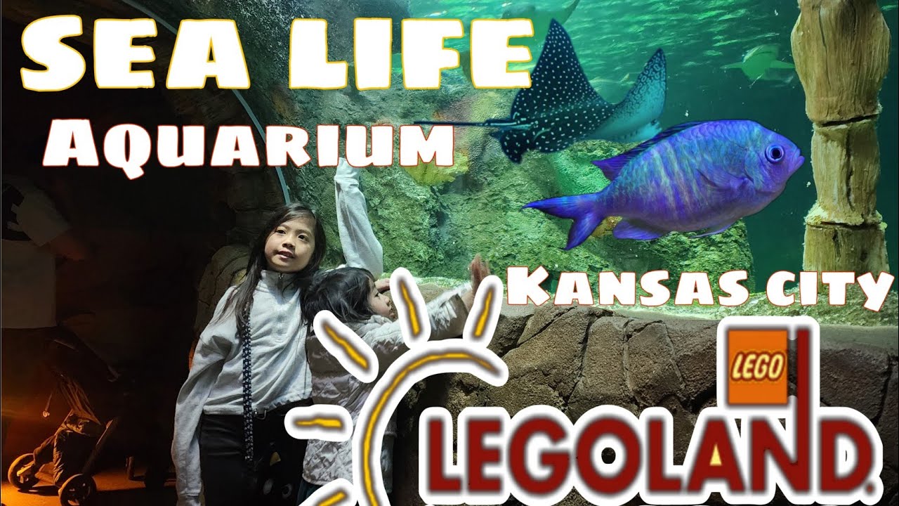 Sea Life Aquarium LEGOLAND Kansas City YouTube