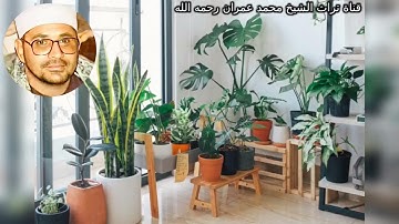 مقطع من سورة النجم بصوت الشيخ الشحات محمد أنور