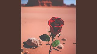 Desert Rose