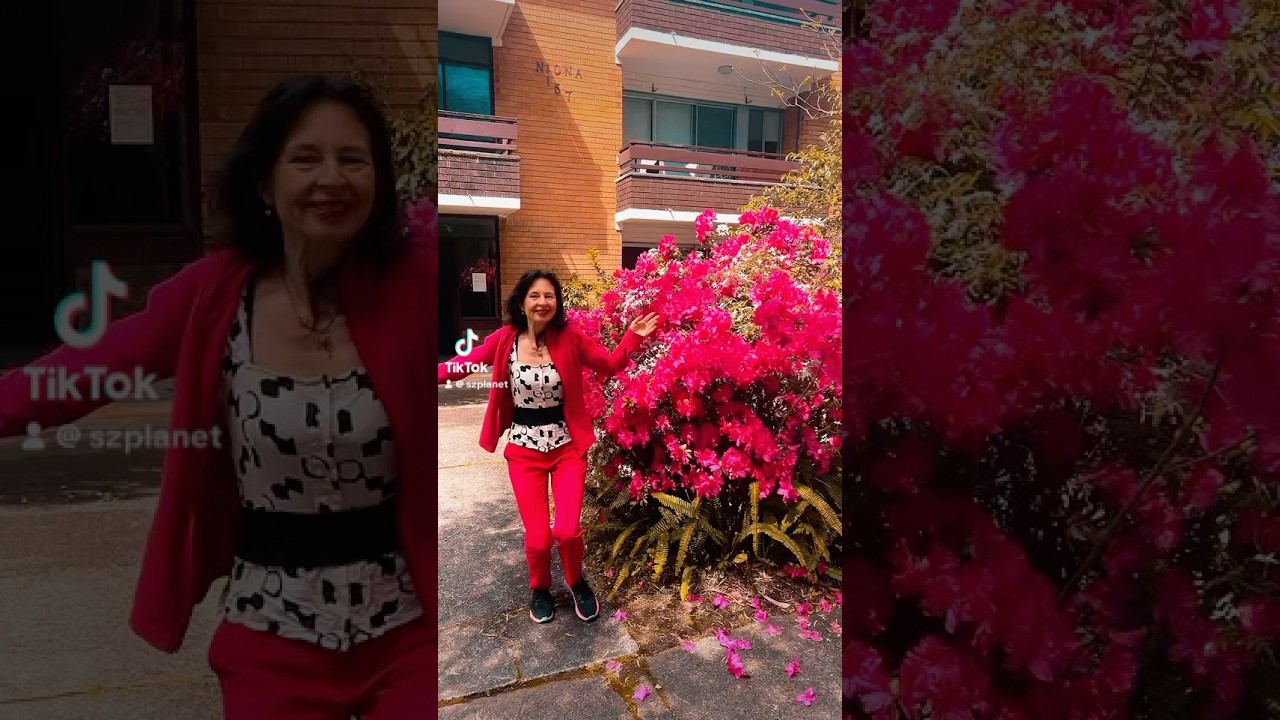 Буйное цветение азалии на каждом углу в Сиднее! 