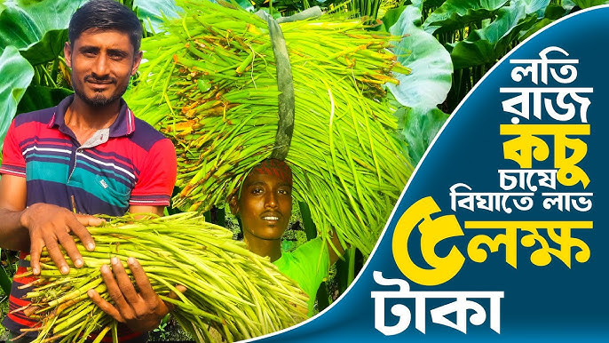 Bir qiz kochada yalangoch yuradi