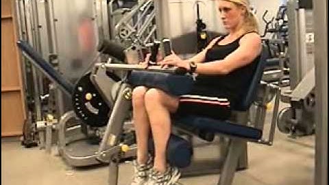 Seated Hamstring Curl Machine