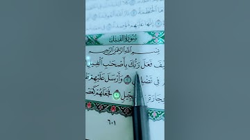 أَلَمْ تَرَ كَيْفَ فَعَلَ رَبُّكَ بِأَصْحَابِ الْفِيلِ (1) سورة الفيل
