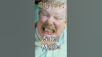 Best Muggles in Harry Potter Films 😁 #harrypotter #hogwarts #potterhead #shorts