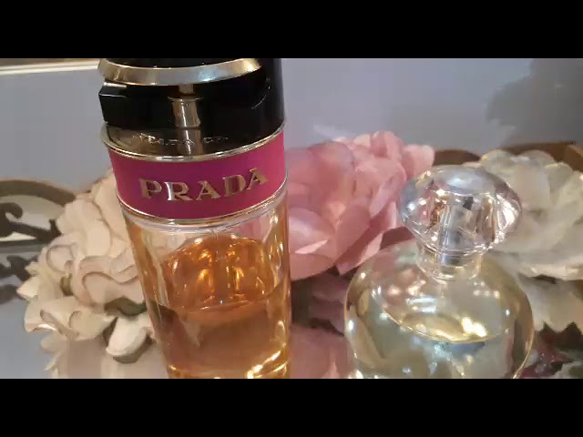 contratipo candy prada