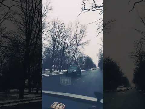 Я приношу всем