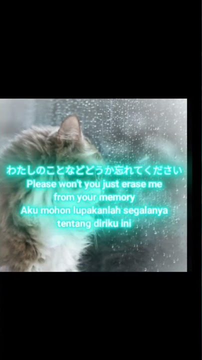 Rainych Ran - Lemon Cover Lirik