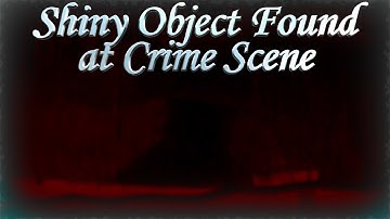 Shiny Object Found at Crime Scene #delphimurders