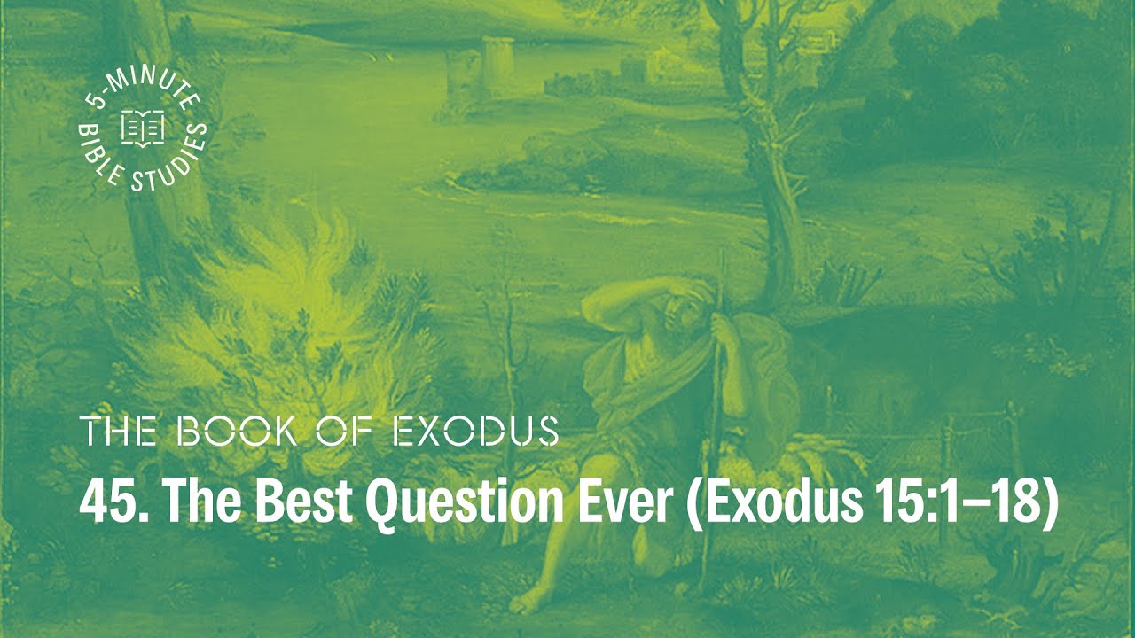 45. The Best Question Ever (15:1-8) | Paul Tripp's Weekly 5-Minute Bible Study on Exodus