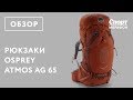 Туристические рюкзаки Osprey Atmos AG. Обзор