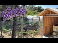 The state of camp snoopy projects knotts berry farm updates