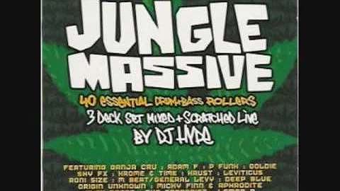 Wicked Wicked Jungle Is Massive (Ali G Indahouse)