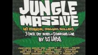 Wicked Wicked Jungle Is Massive (Ali G Indahouse)