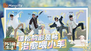 【SPECIAL】蘑菇屋换上蒙古包新“皮肤” 谭松韵尤克里里弹唱新歌 黄磊何炅十万头牛里找苏苏 彭昱畅玩游戏脑子空无一物? |《向往的生活》Back To Field | MangoTV