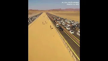 Camels Race Through The Saudi Desert With Jockeys Eyeing 21 Million Prize Pool 