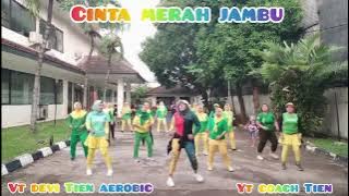 Cinta Merah Jambu  || Tiktok Viral || Dangdut Koplo || Senam kreasi || Choreo Coach Tien #senam