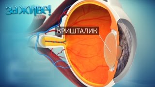 Как выбрать солнцезащитные очки? – За живе! Сезон 4. Выпуск 44 от 15.05.17