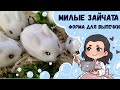 ♥ Милые зайчата из мыла ♥ Форма для выпечки Сима-лэнд ♥ Просто, быстро, очаровательно ♥ Мыловарение