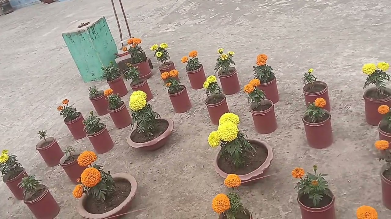 আজ আমাদের এখানে একেবারেই রোদ আসেনি