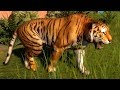 Planet Zoo - Bengal Tiger - Open World Free Roam Gameplay (PC HD) [1080p60FPS]