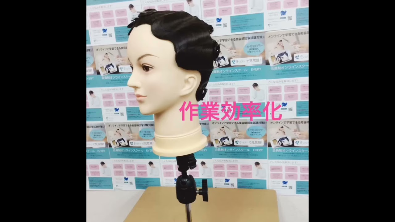 美容師国家試験 本番用 カットウィッグ 11体（ビューラックス